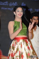Hora Hori Movie Audio Launch